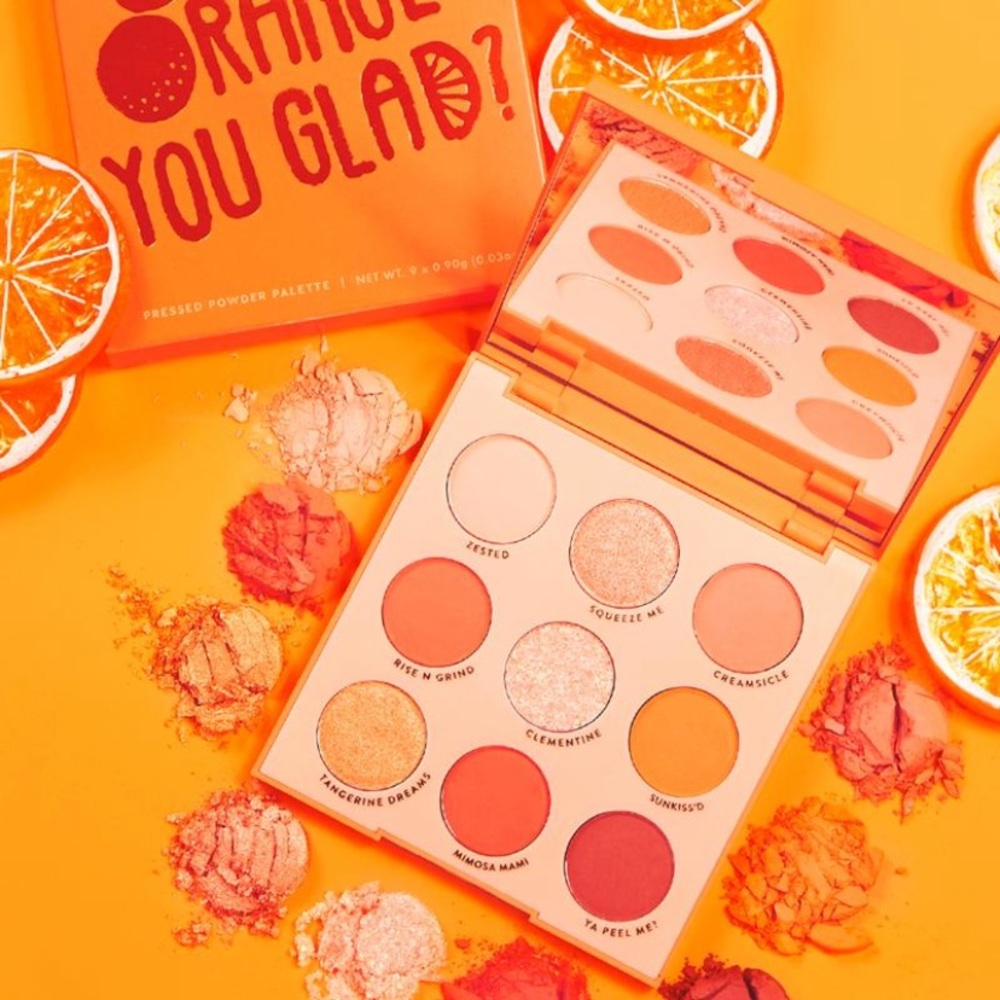 🆕Orange You Glad Palette🆕
